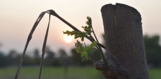 indian village Tamil NAdu